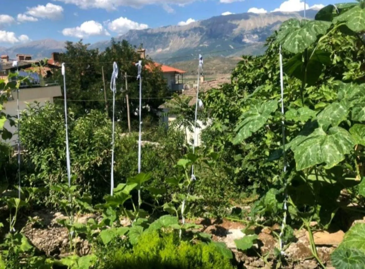 MiziriGuestHouse Gjirokastër Affittacamere